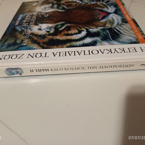 The Encyclopedia of Animals Volume 3 used, The Tiger and the World of Felines