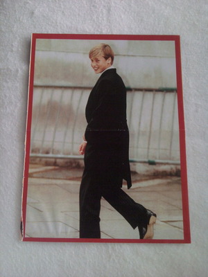 Prince William Pinup αφίσα μεταχειρισμένη, μέγεθος 28,5x21,3