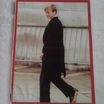 Prince William Pinup αφίσα μεταχειρισμένη, μέγεθος 28,5x21,3
