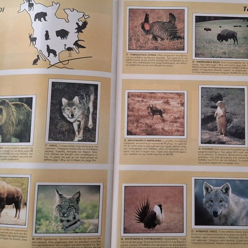 Collectible WWF Animals – For Rescue Panini Album complete with insert