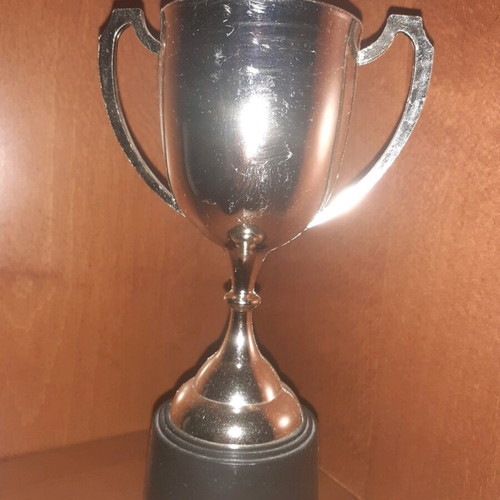 Plastic winner trophy like new