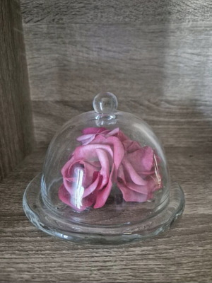Mini glass cake dome like new, ideal for small sweets