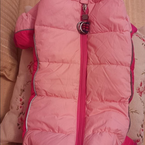 Full-body dog jacket new for female small dog