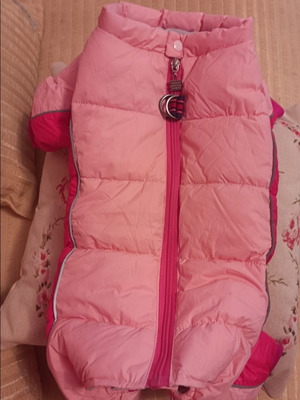 Full-body dog jacket new for female small dog