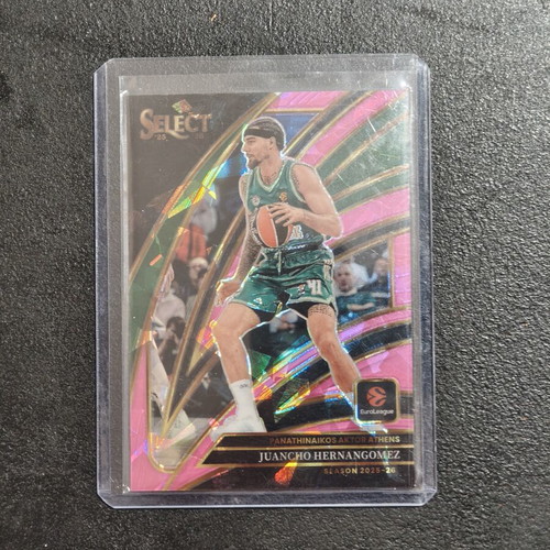 Select Juancho Hernangomez basketball card 18/25