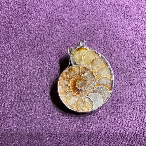 Ammonite pendant new
