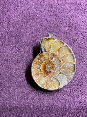 Ammonite pendant new