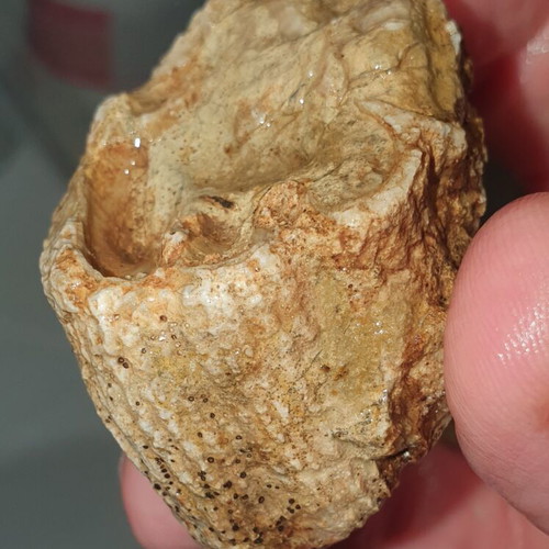Lot of fossils and rocks from Greece new, educational collection