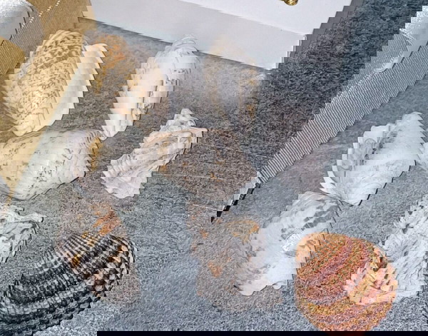 8 όμορφα κοχύλια
