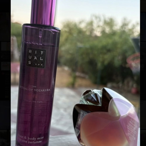 Summer Gift Set 4+1 Eau de Parfum Limited Edition and Viral Scents