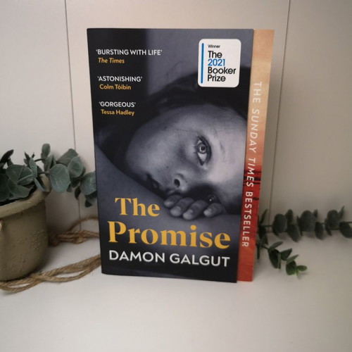 The Promise by Damon Galgut used, paperback