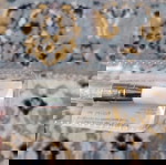  Πινέλα νυχιών σετ nail brush set