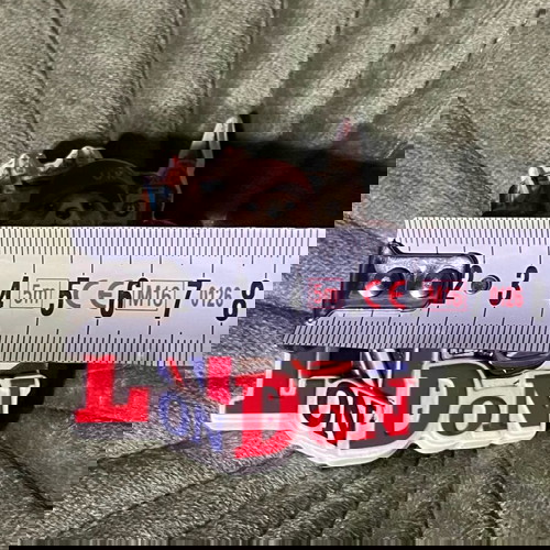 Μαγνητάκι ψυγείου Λονδίνο καινούργιο με Αρκούδο Πάντινγκτον