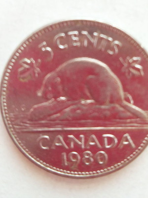 Νόμισμα Canada 5 Cents 1980 μεταχειρισμένο