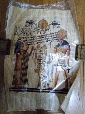 Egyptian papyrus new