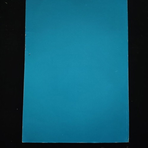 Streifzüge durch das Leben Anna O.Bertha Pappenheim book like new, German