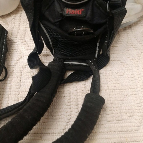Dog leash used for dogs that pull, brand Halti