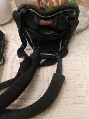 Dog leash used for dogs that pull, brand Halti