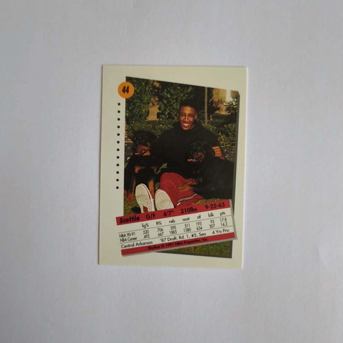 Scotty Pippen basketball card Skybox 1991-1992 like new