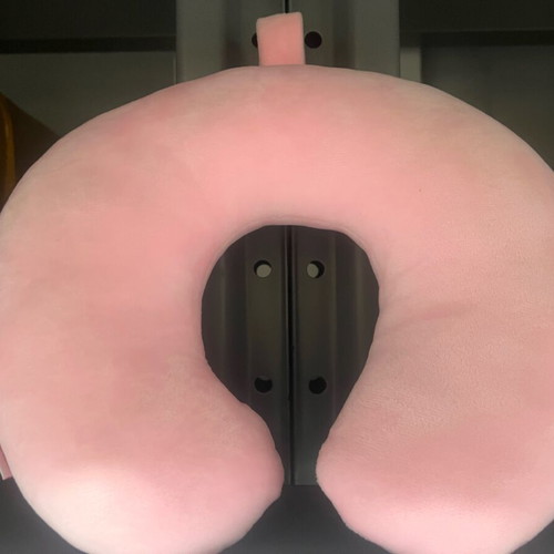 Pink U-Shaped Travel Pillow Winning Star new with cactus embroidery
