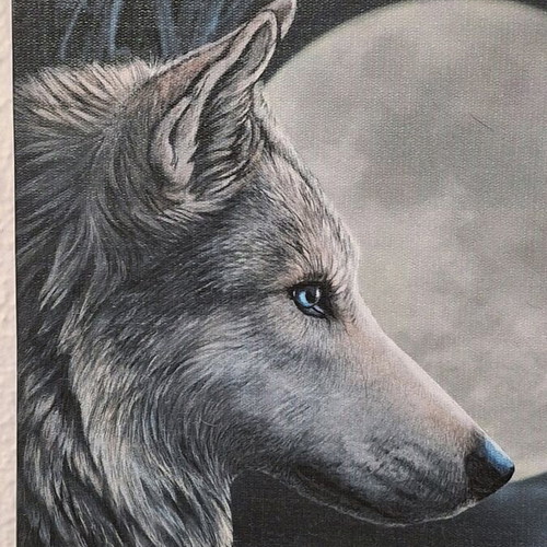 Moonstruck canvas by Lisa Parker like new with gothic style