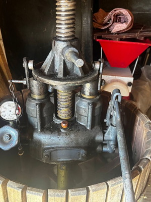Grape press, Italian made