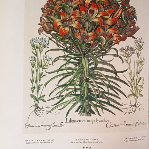 L'herbier Toutes les planches hardcover like new, French