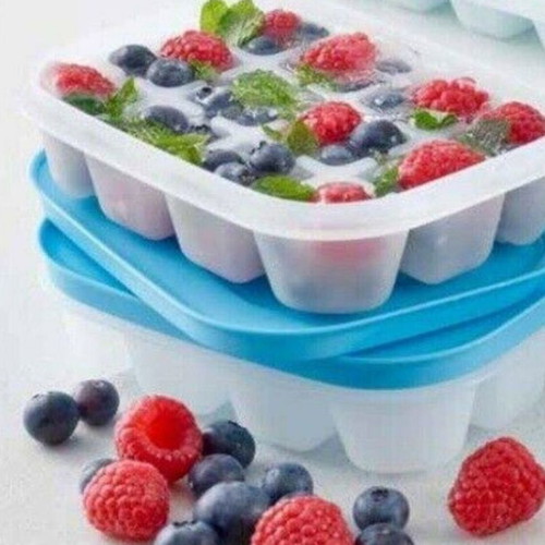Tupperware Ice Cube Trays Set of 2, 12 Slots Each, New