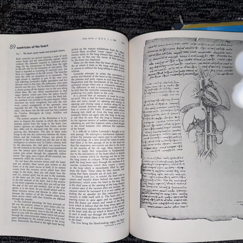 Leonardo da Vinci On the Human Body & Eadweard Muybridge The Human Figure in Motion books