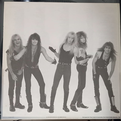 Warrant Cherry Pie vinyl used, rock