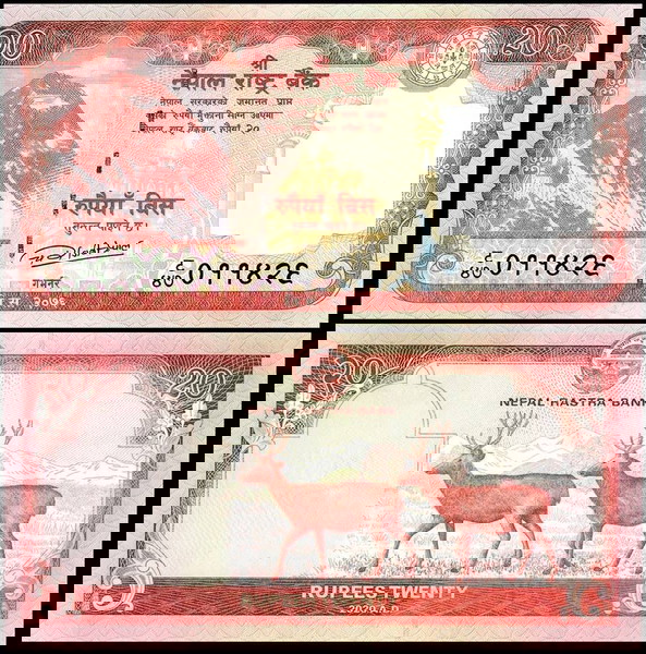 ΝΕΠΑΛ - 20 Rupees 2020 - UNC