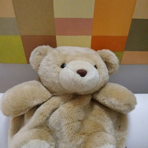 Backpack plush teddy bear like new