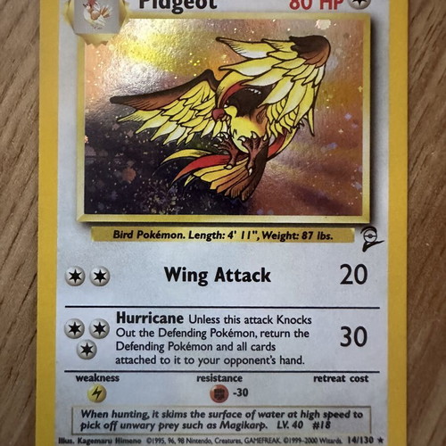 Pidgeot Holo Jungle Pokémon Card used, vintage