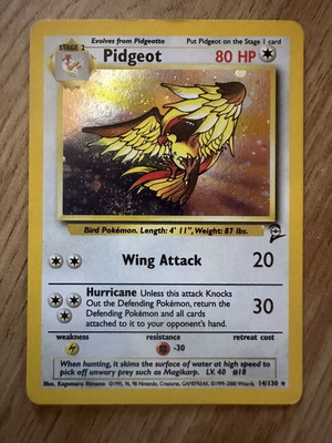 Pidgeot Holo Jungle Pokémon Card used, vintage