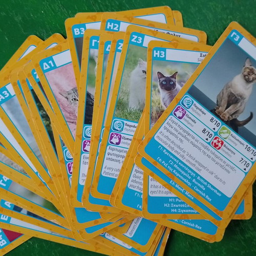 Yperatou card games used, cats and dinosaurs