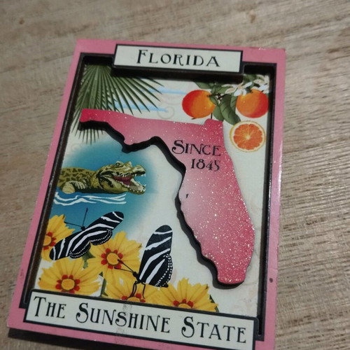 Florida magnet used