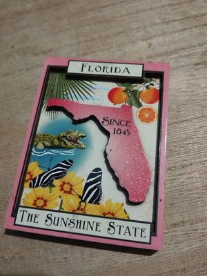 Florida magnet used