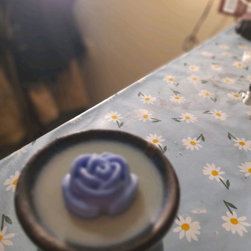 Wax melts handmade new in various scents and designs