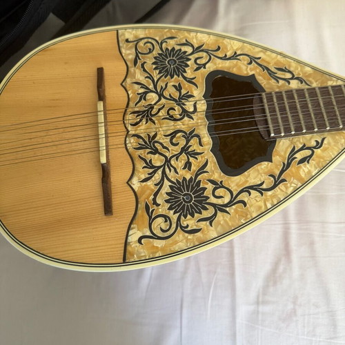Bouzouki with case and pick like new
