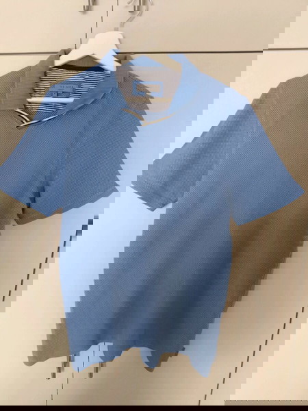 Ανδρική polo μπλούζα Ted Baker