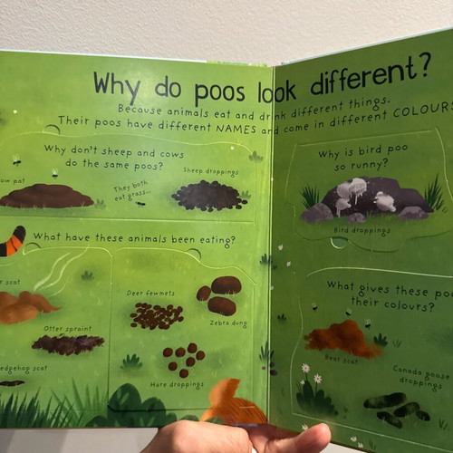 First Questions and Answers: Where Does Poo Go? new children's book in English