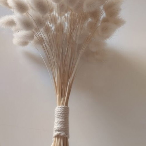 Bunny tails pack of 100, new
