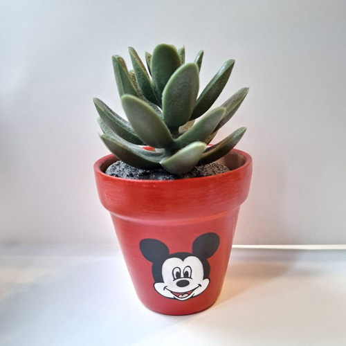 Hand-painted terracotta flowerpot with glossy finish