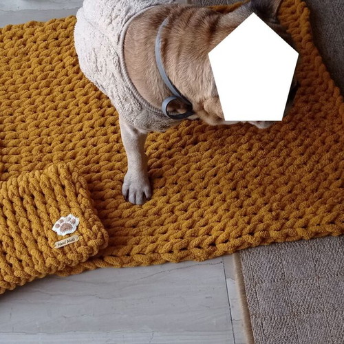Handmade pet set with Alize Puffy yarn, hypoallergenic, mustard color