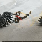  Ρολόι τσέπης quartz No 4