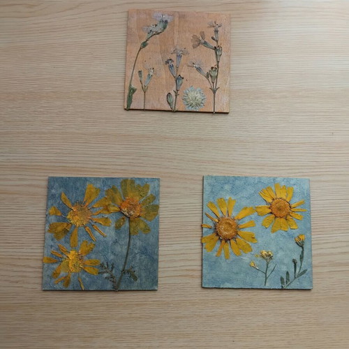 Set of 3 handmade frames with dried flowers new