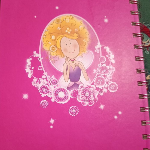 Fairy Notebook Spiral with 80 Recycled Sheets, New, Fuchsia