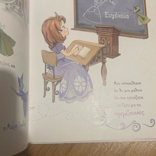 Sophia the Princess storybook used