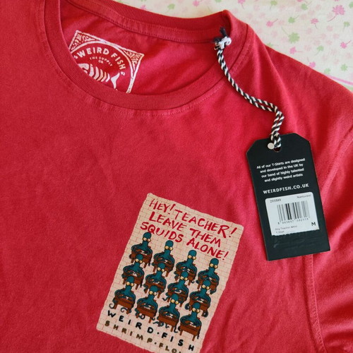 Hey Teacher Artist T-Shirt new, size M, light red