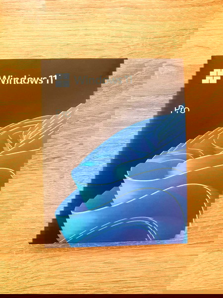 Windows 11 Professional